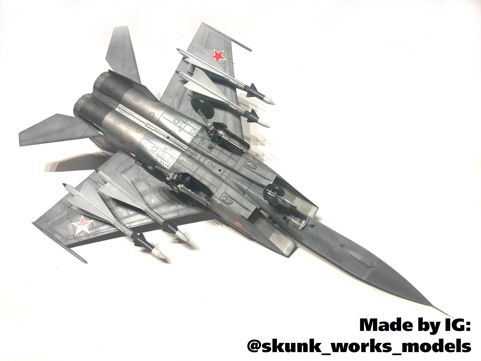 MiG-25 PD Soviet Interceptor Fighter – Image 6