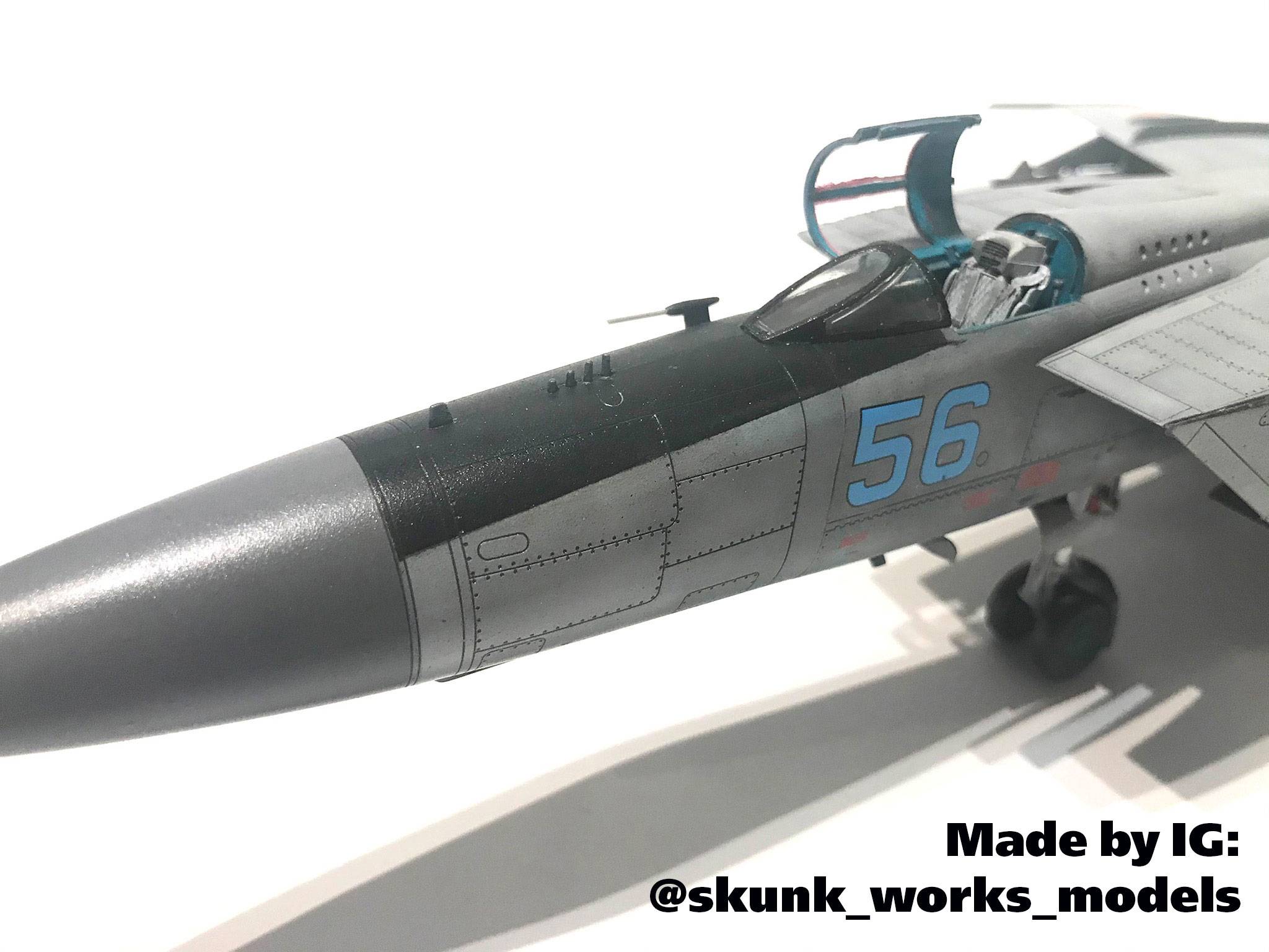 MiG-25 PD Soviet Interceptor Fighter – Image 7