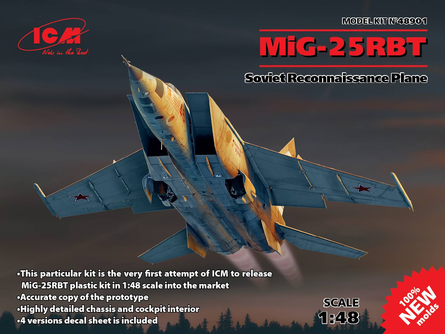 MiG-25 RBT Soviet Reconnaissance Plane