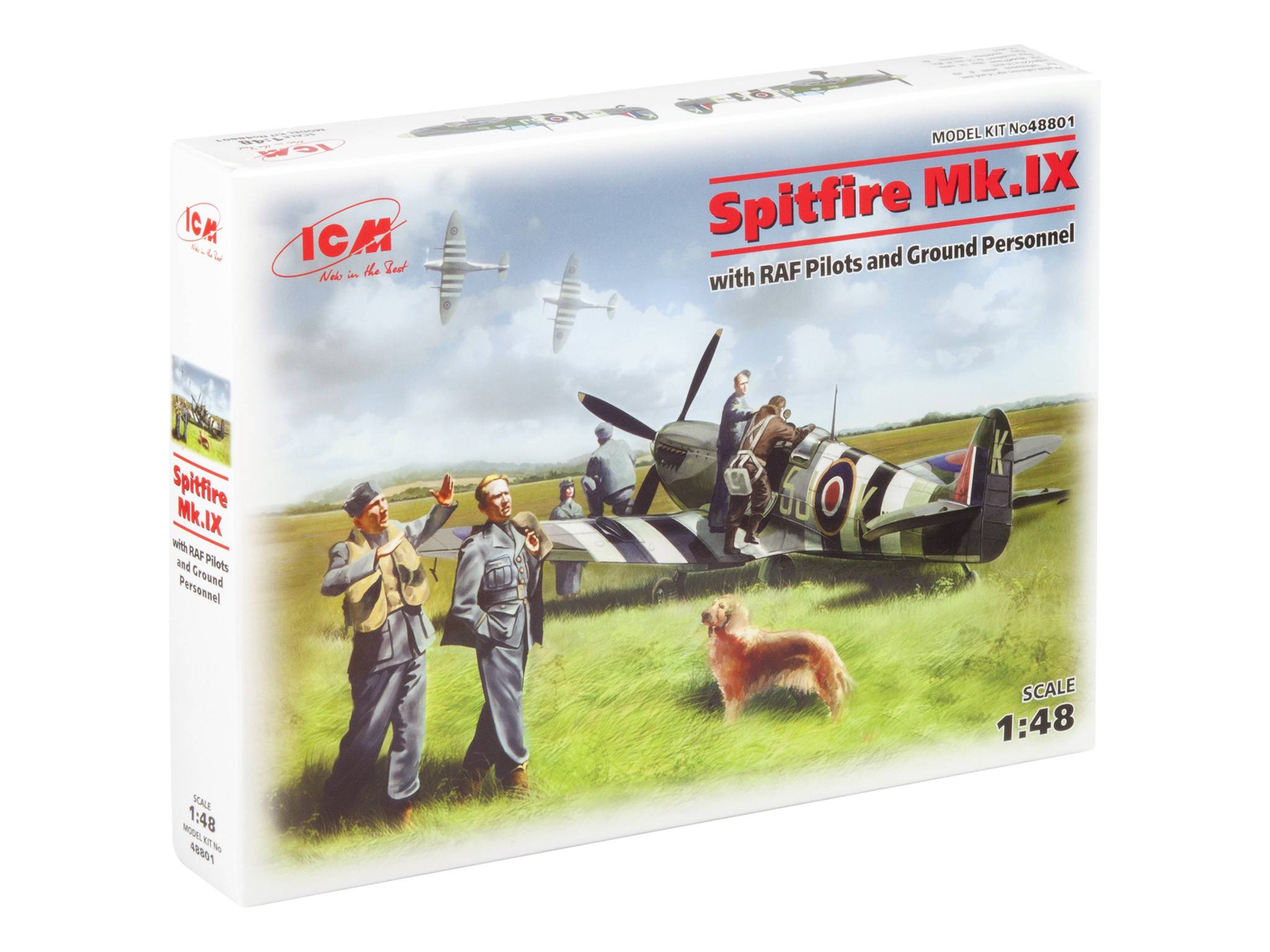Spitfire Mk.IX with RAF Pilots and Ground Personnel – Image 4