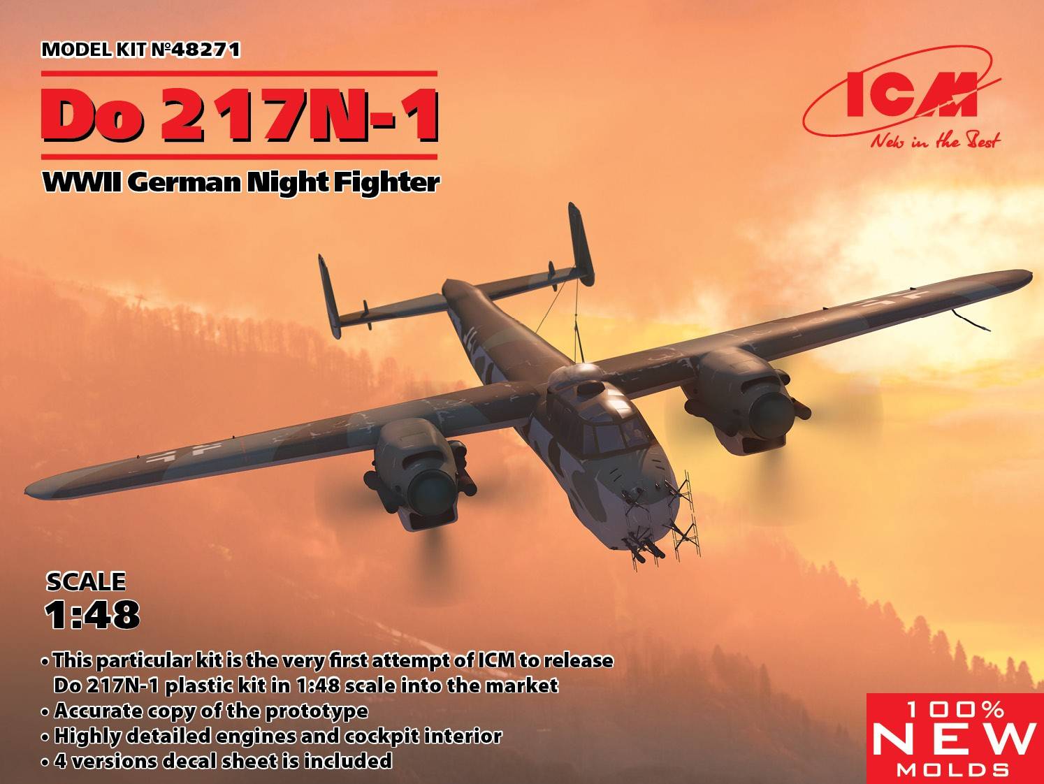Do 217N-1 WWII German Night Fighter