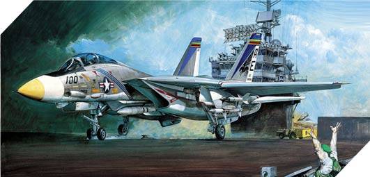 Grumman F-14A Tomcat (1659) – Image 3