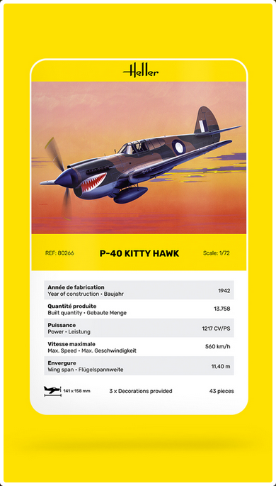 P-40 Kitty Hawk – Image 6