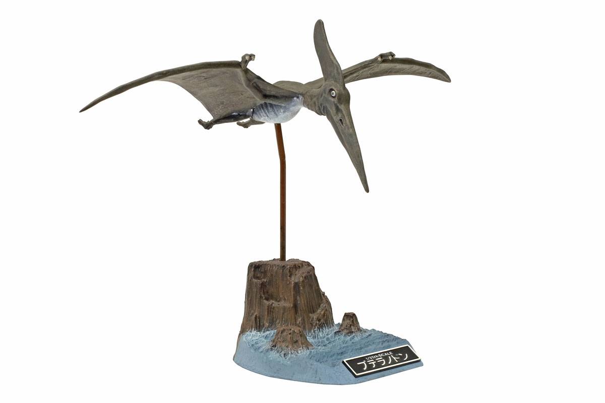 Pteranodon – Image 2