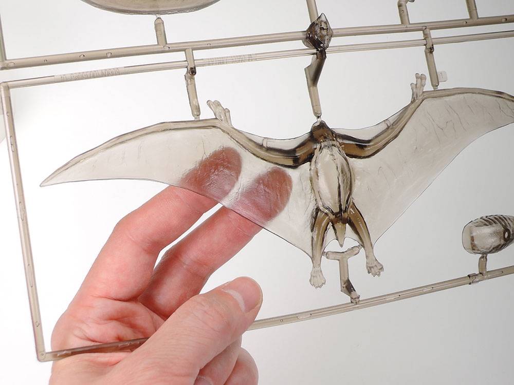 Pteranodon – Image 6