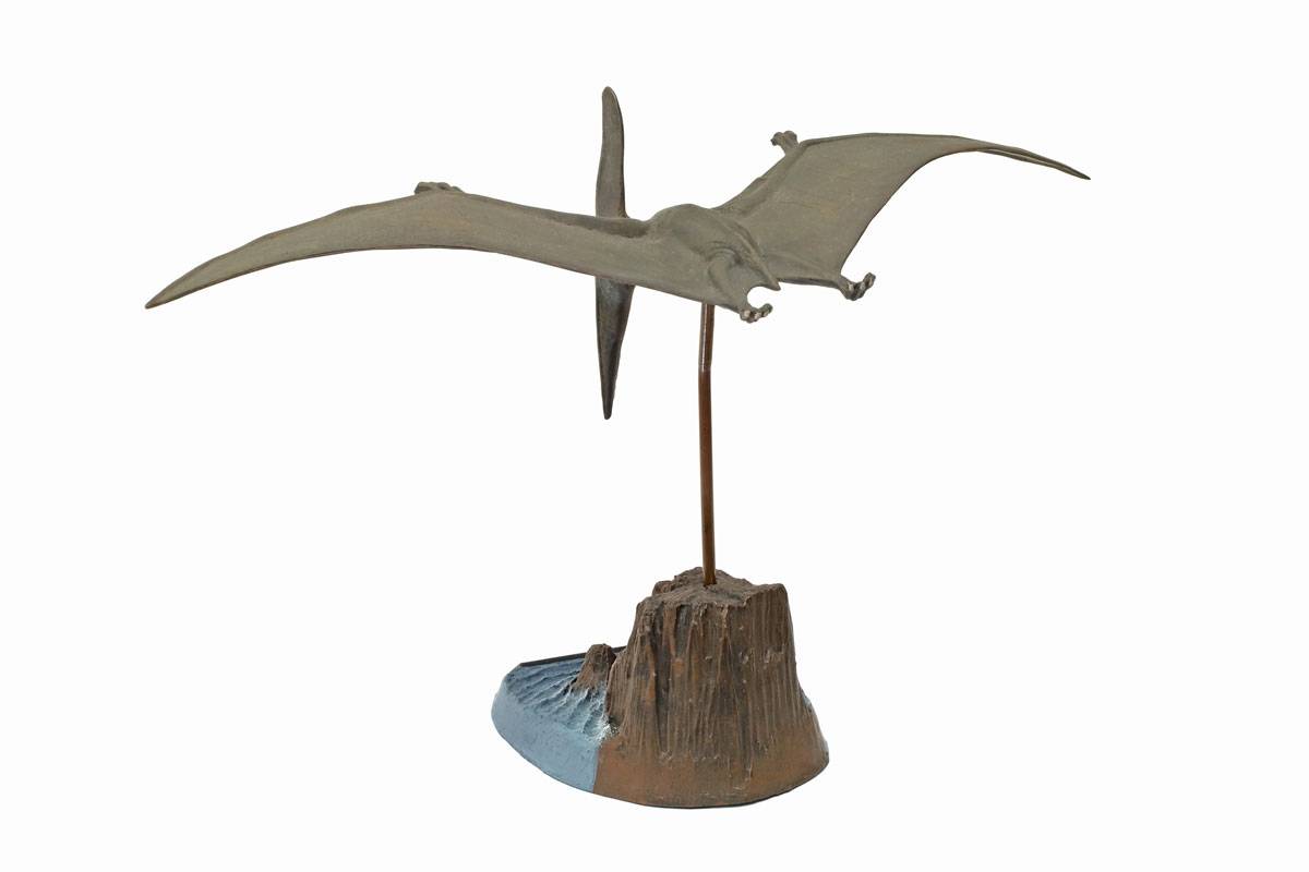 Pteranodon – Image 4