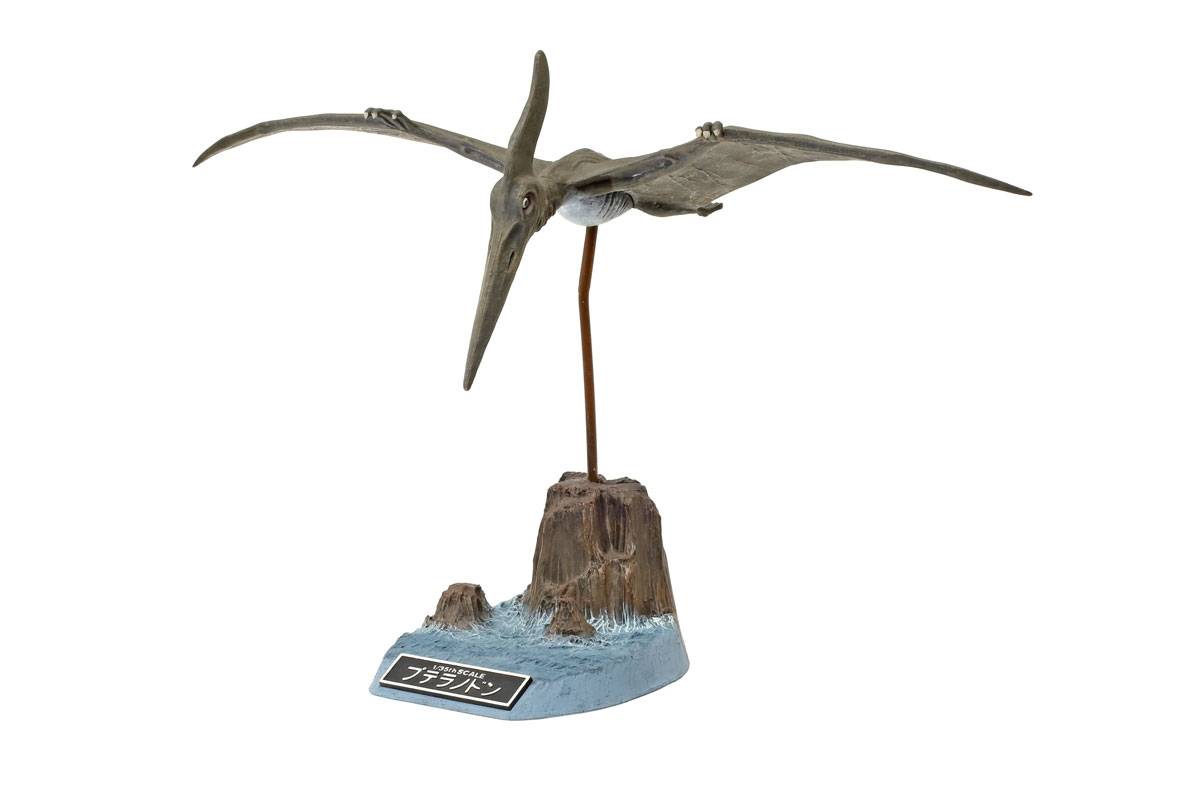 Pteranodon – Image 5