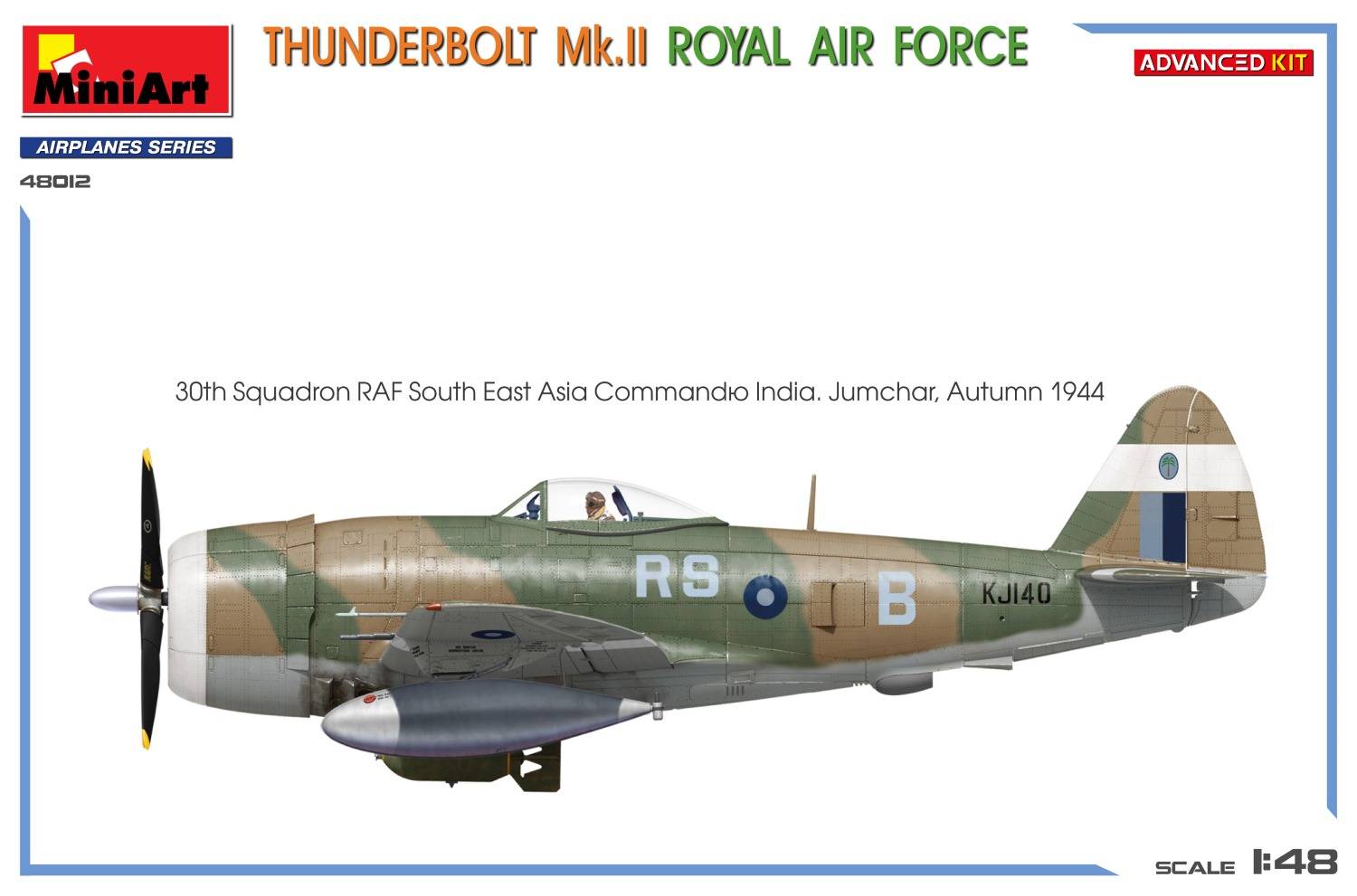 THUNDERBOLT Mk.II. ROYAL AIR FORCE. ADVANCED KIT – Image 7