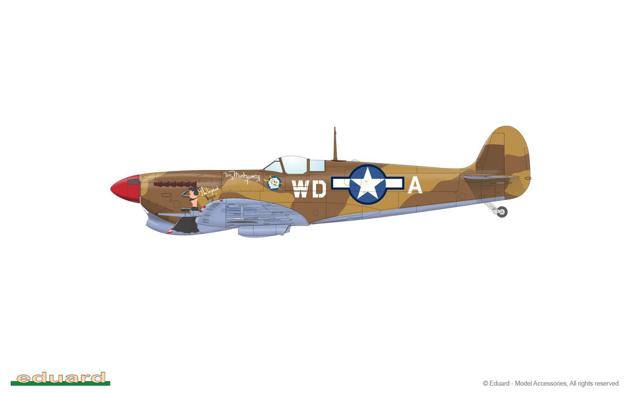 Spitfire Story: Per Aspera ad Astra Limited Edition Dual Combo – Image 25