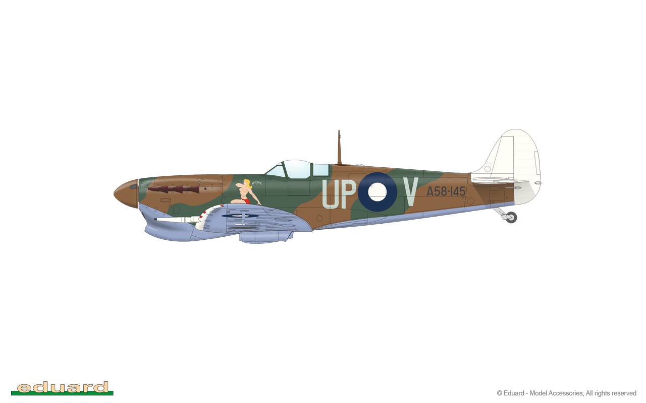 Spitfire Story: Per Aspera ad Astra Limited Edition Dual Combo – Image 32