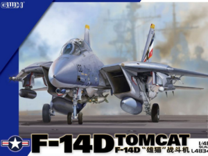 F-14D Tomcat