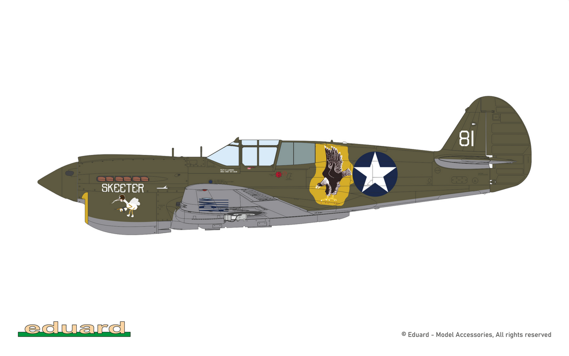 P-40E Warhawk Royal Class Dual Combo – Image 8