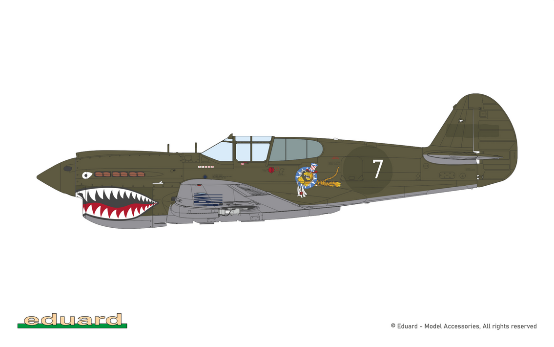 P-40E Warhawk Royal Class Dual Combo – Image 9