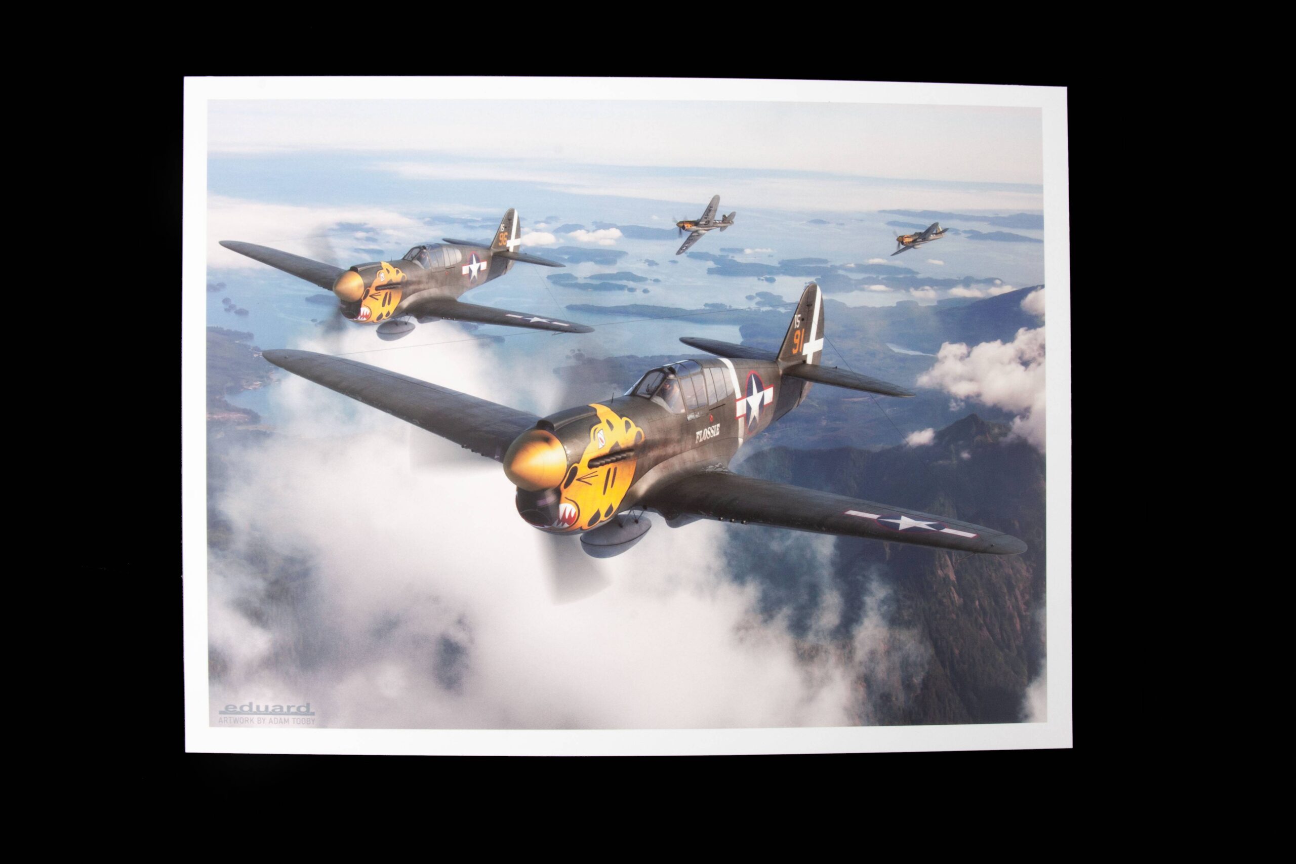 P-40E Warhawk Royal Class Dual Combo – Image 16
