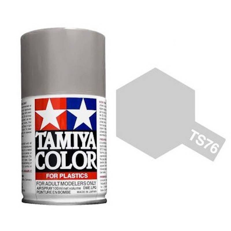 TS-76 - Argent clair métal - Mica Silver -