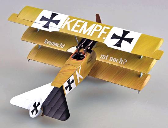 Fokker Dr.I – Image 20