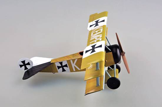 Fokker Dr.I – Image 21