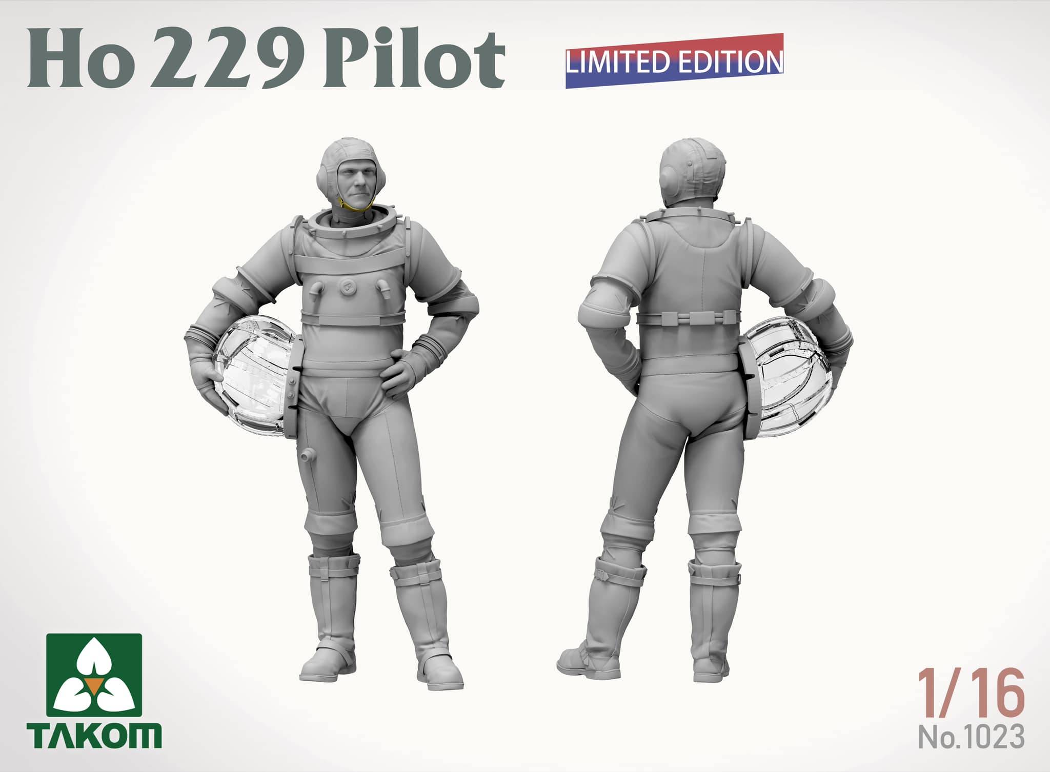 Ho 229 Pilot – Image 2