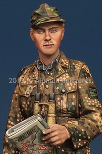 WSS Grenadier Officer – Image 10