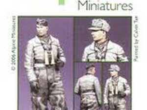 Winter Panzer Officer