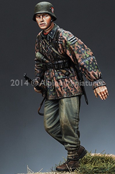 WSS infantry n°1 – Image 4