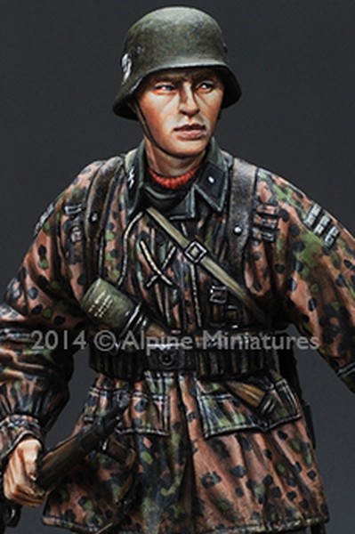 WSS infantry n°1 – Image 8