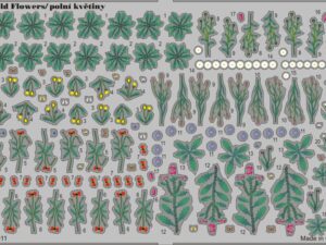 Wild Flowers, Butterflies - colour