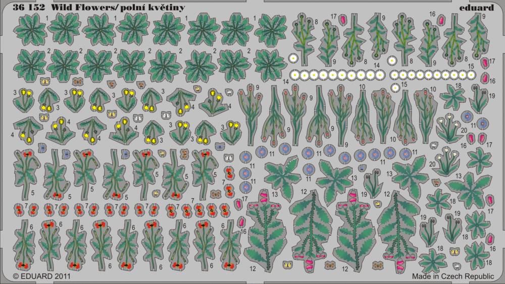 Wild Flowers, Butterflies - colour