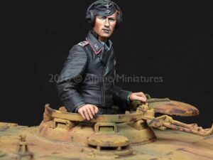 WSS Tiger Commander