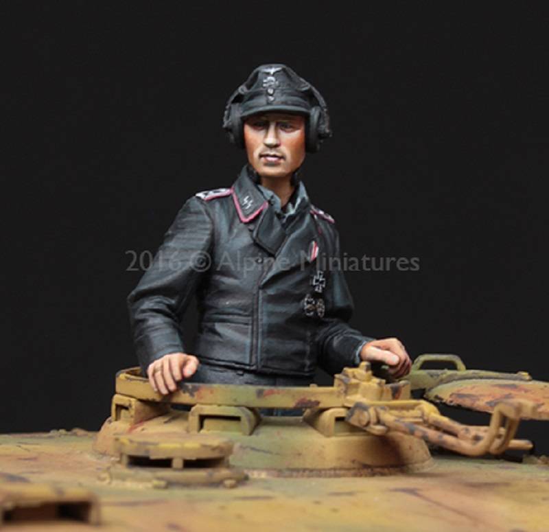 WSS Tiger Commander – Image 2