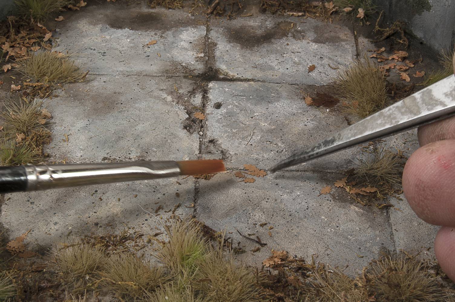 OAK - DRY LEAVES – Image 3