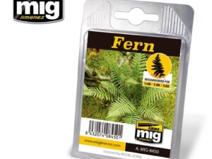 FERN