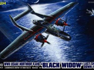WWII USAAF Northrop P-61B 'Black Widow' Last Shoot Down 1945