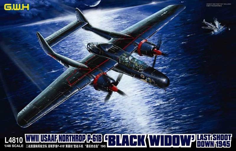 WWII USAAF Northrop P-61B 'Black Widow' Last Shoot Down 1945