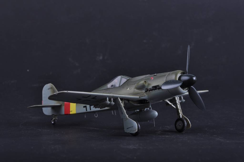 Focke Wulf Fw 190D-9 – Image 3