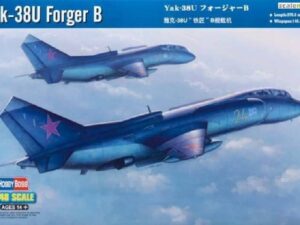 Yak-38U Forger B