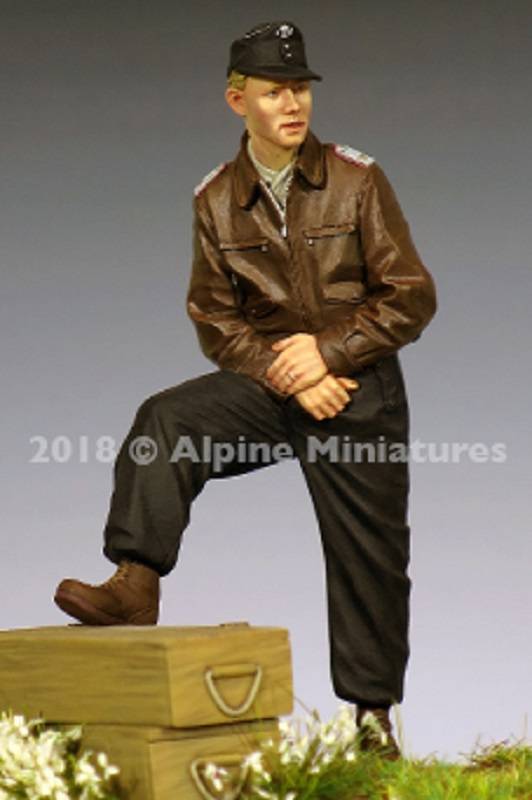 WSS Panzer Officer 44-45 – Image 6