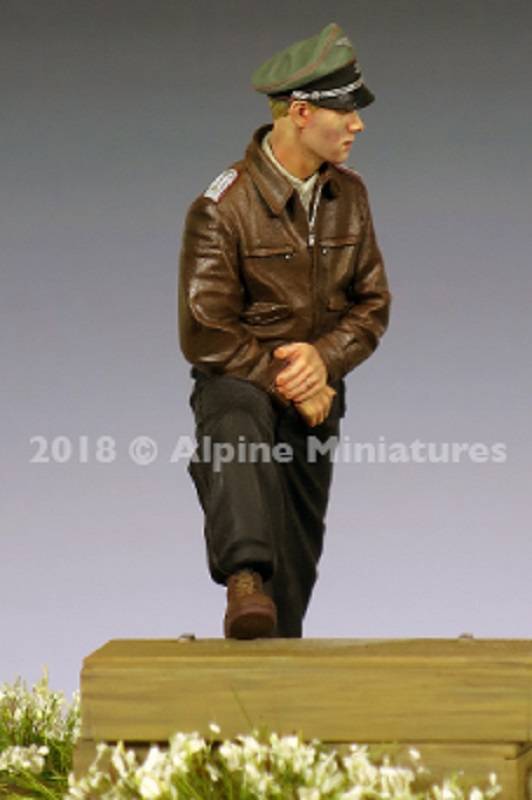 WSS Panzer Officer 44-45 – Image 5