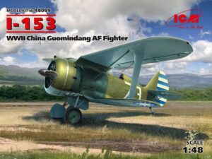 WWII China Guomindang AF Fighter