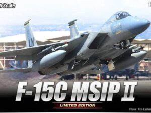 F-15C MSIPII 1/48