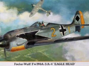 FOCKE-WULF Fw190A-3/A-4 "EAGLE HEAD"