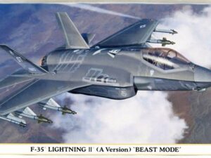 F-35 Lightning II (A Version) 'Beast mode'