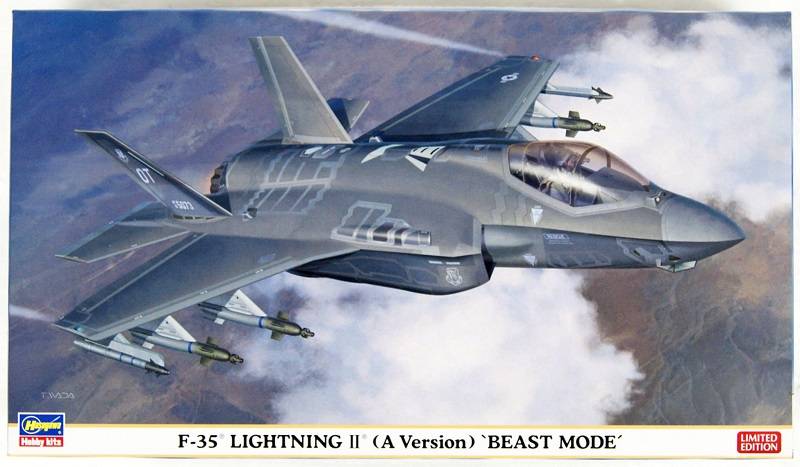 F-35 Lightning II (A Version) 'Beast mode'