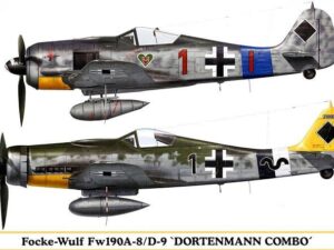 Focke Wulf Fw 190A-8/D-9 `Dortenmann Combo