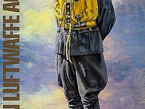 WWII German Luftwaffe Ace Pilot