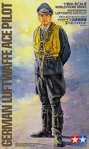 WWII German Luftwaffe Ace Pilot
