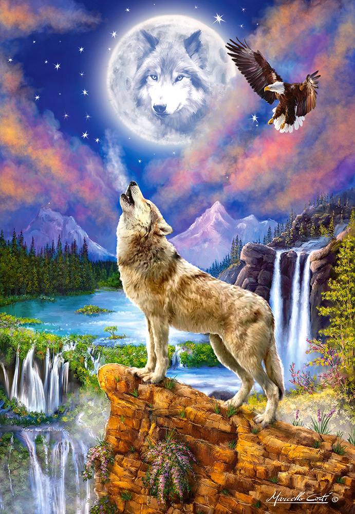 WOLF'S NIGHT