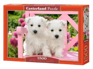 WHITE TERRIER PUPPIES