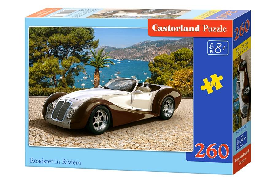 ROADSTER IN RIVIERA