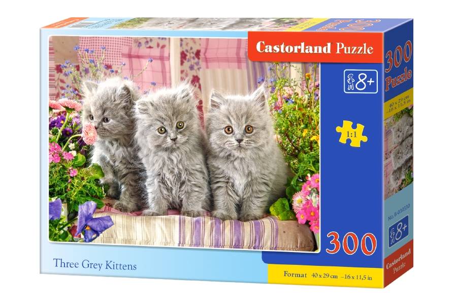 THREE GREY KITTENS
